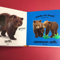 Babi Cyffwrdd a Theimlo: Rhuo! Rhuo! / Baby Touch and Feel: Roar! Roar!