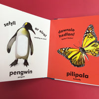Babi Cyffwrdd a Theimlo: Anifeiliaid / Baby Touch and Feel: Animals