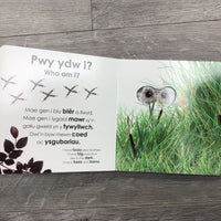 Pwy Ydw i? Anifeiliaid Bach / Who Am I? Baby Animals