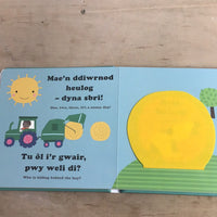 Chwarae a Chwilio: Ar y Fferm / Hide and Seek: On the Farm