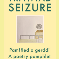 Bundle: Trawiad | Seizure & A Goareig Patchwork Quilt - Sara Louise Wheeler
