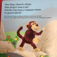 Codi Fflap Pi-po Mwnci