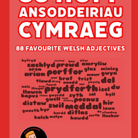 88 o Hoff Ansoddeiriau Cymraeg: 88 Favourite Welsh Adjectives