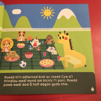 Cyfres Cyw: Plwmp a'r llyfr coll