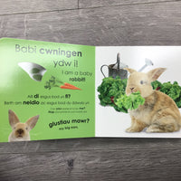 Pwy Ydw i? Anifeiliaid Bach / Who Am I? Baby Animals