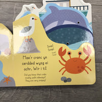 Llyfrau Wibli Wobli - Môr / Wibbly Wobbly Books - Ocean