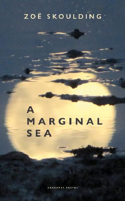Marginal Sea, A