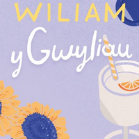 Gwyliau, Y
