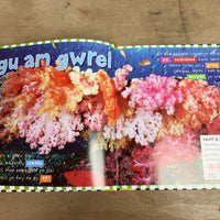 Cyfres Dwlu Dysgu: Riff Cwrel