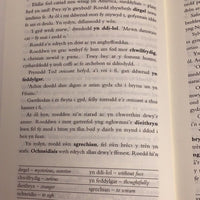 Cyfres Amdani: Daith, Y - Storïau i Ddysgwyr gan Ddysgwyr