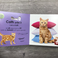 Pwy ydw i? Anifeiliaid Anwes / Who Am I? Pets