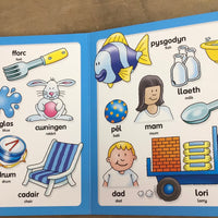 Fy Llyfr Ysgrifennu Hud/My Magic Writing Book: Ysgrifennu Geiriau Cyntaf/Writing My First Words