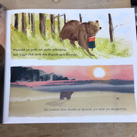 Arth a'i Llyfr Arbennig, Yr / Bear and her Book, The