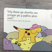 Chwilia am Smot ar y Traeth / Find Smot at the Beach: Find Smot at the Beach