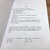 Cyfres Amdani: i'r Eisteddfod