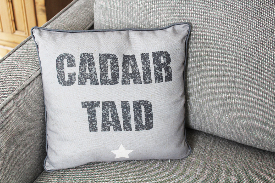 Cushion for Grandad - Cadair Taid
