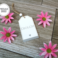 Gift Tag 'Diolch' thank you