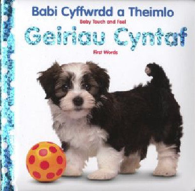 Babi Cyffwrdd a Theimlo: Geiriau Cyntaf / Baby Touch and Feel: First Words