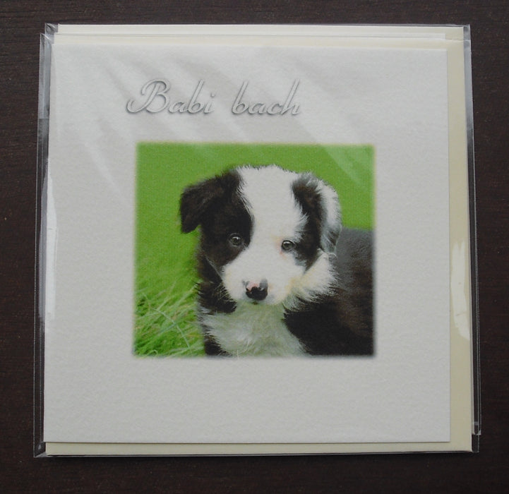 New baby card 'Babi Bach' puppy