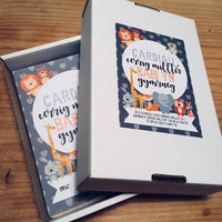 Welsh Baby Milestone Cards