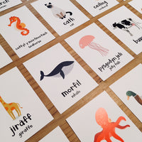 Welsh Animal Flash Cards