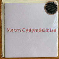 Sympathy card 'Mewn Cydymdeimlad' handmade papercut