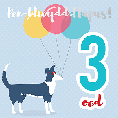 Birthday card 'Pen-blwydd hapus 3' sheep dog