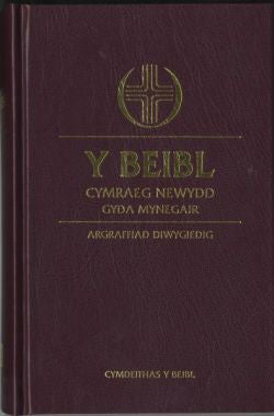 Beibl Cymraeg Newydd, Y - Gyda Mynegair