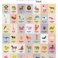 A2 Anifeiliaid Welsh Animals Poster Print