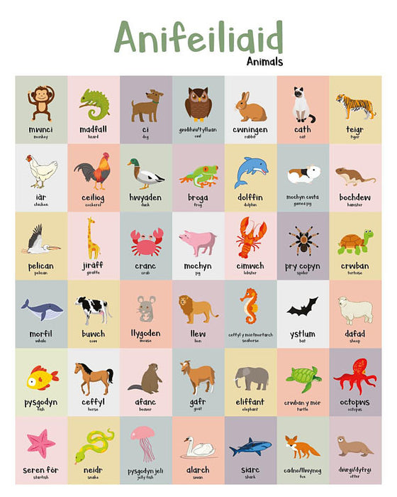 A2 Anifeiliaid Welsh Animals Poster Print