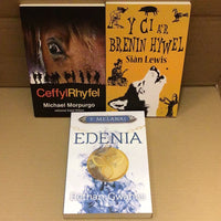 Mystery £20 book box for young people aged 13 years and older