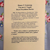 Syched am Sycharth: Hanes y Gymraeg ym Mro'r Ysgub - Bryn Peryddon Davies
