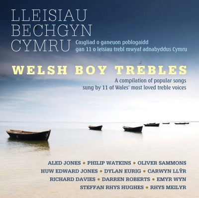 Various Artists - Lleisiau Bechgyn Cymru