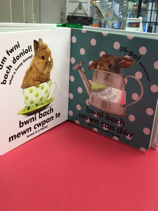 Babi Cyffwrdd a Theimlo: Bwni Bach / Baby Touch and Feel: Bunny