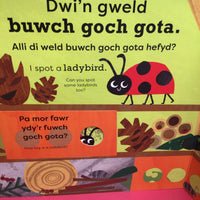 Dwi'n Gweld Malwoden / I Spot a Snail