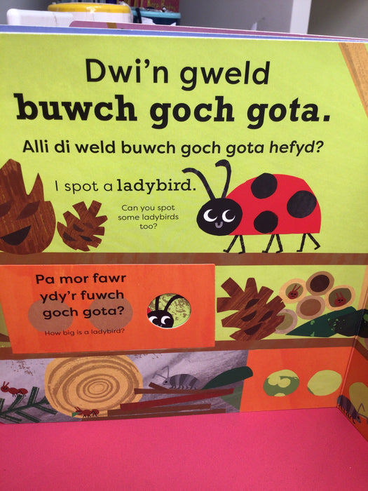 Dwi'n Gweld Malwoden / I Spot a Snail