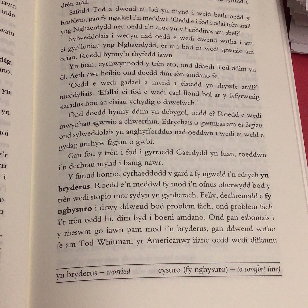 Cyfres Amdani: Daith, Y - StorÃ¯au i Ddysgwyr gan Ddysgwyr