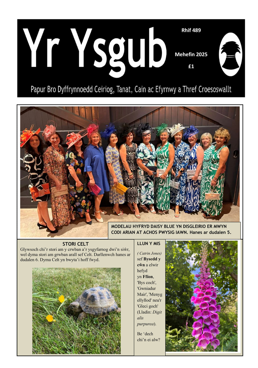 Yr Ysgub - June 2025 - Digital Download