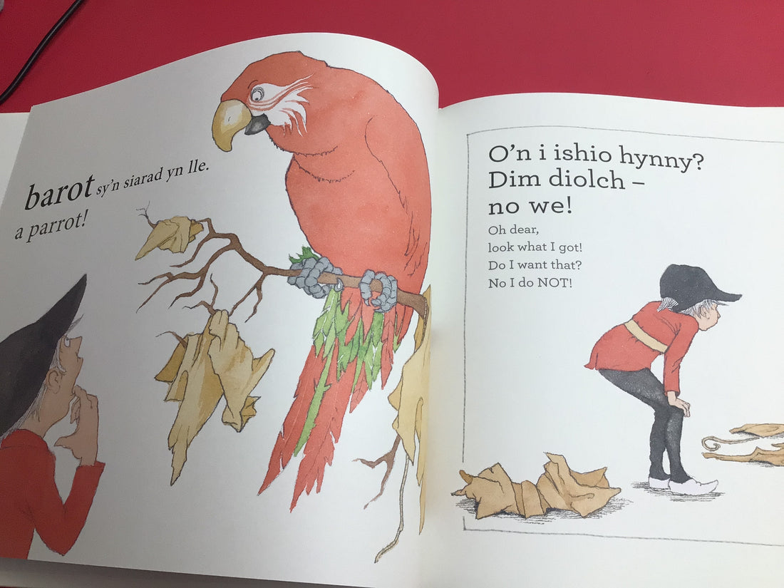 Dim Diolch! No We! / Oh Dear, Look what I got!: Oh Dear, Look what I got!