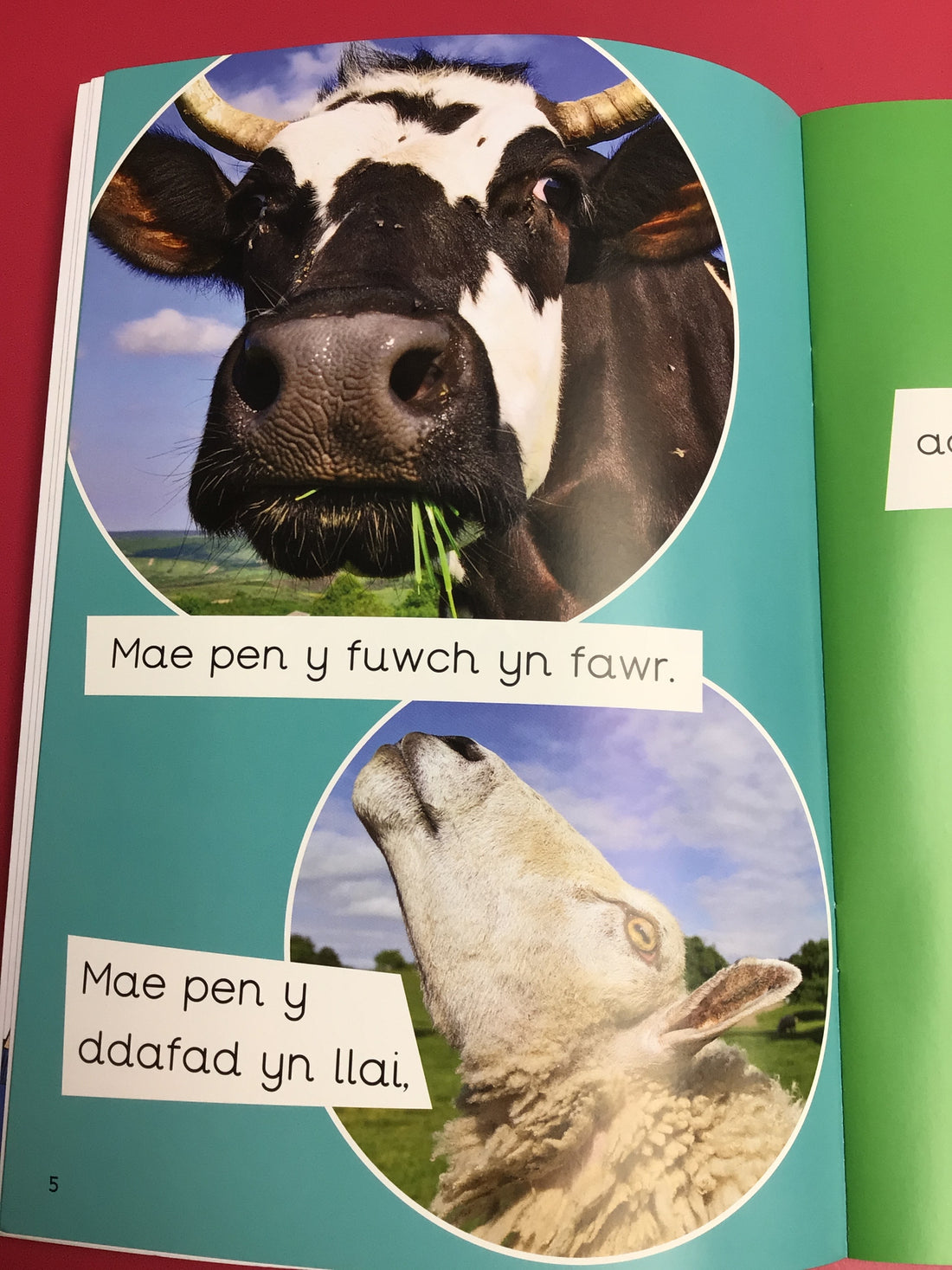 Dyna Chi Dric: Pa Un *