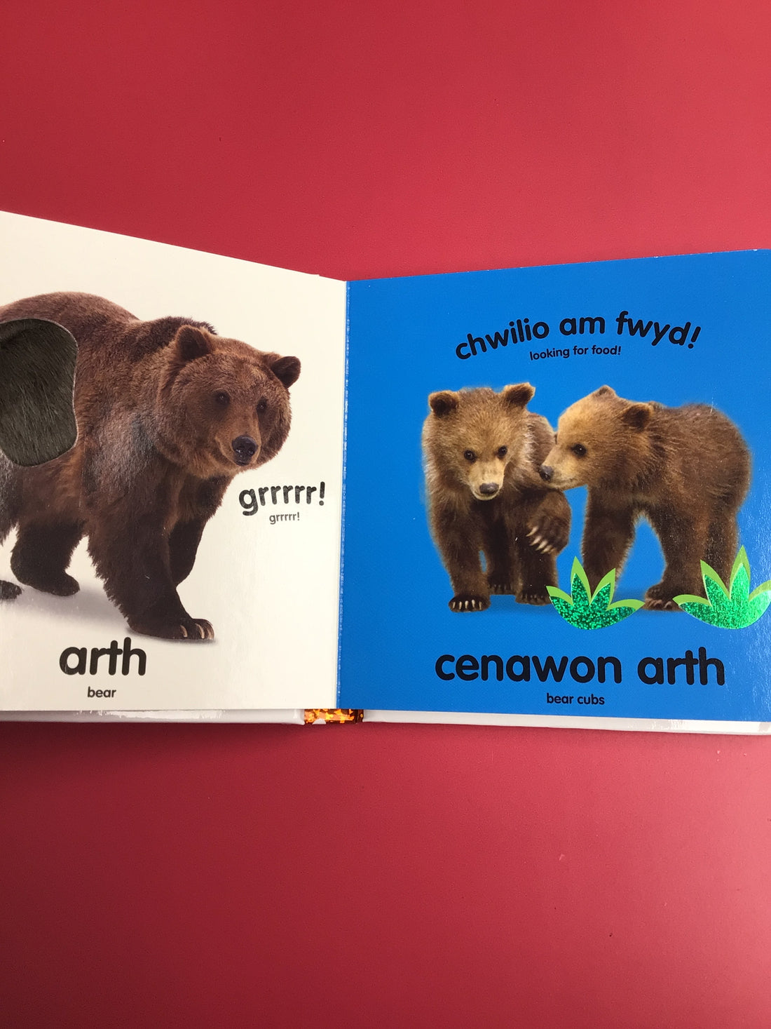 Babi Cyffwrdd a Theimlo: Rhuo! Rhuo! / Baby Touch and Feel: Roar! Roar!