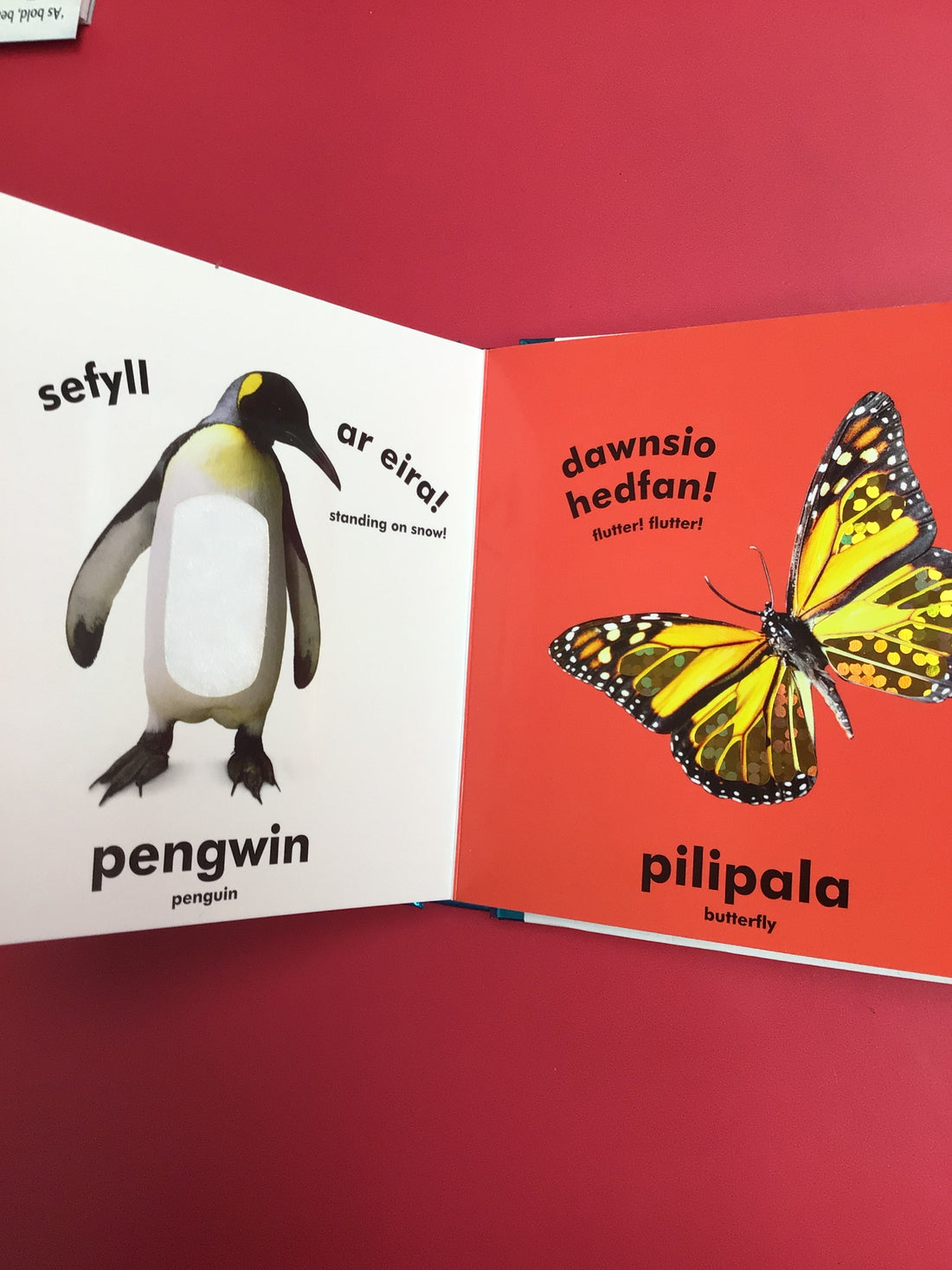Babi Cyffwrdd a Theimlo: Anifeiliaid / Baby Touch and Feel: Animals