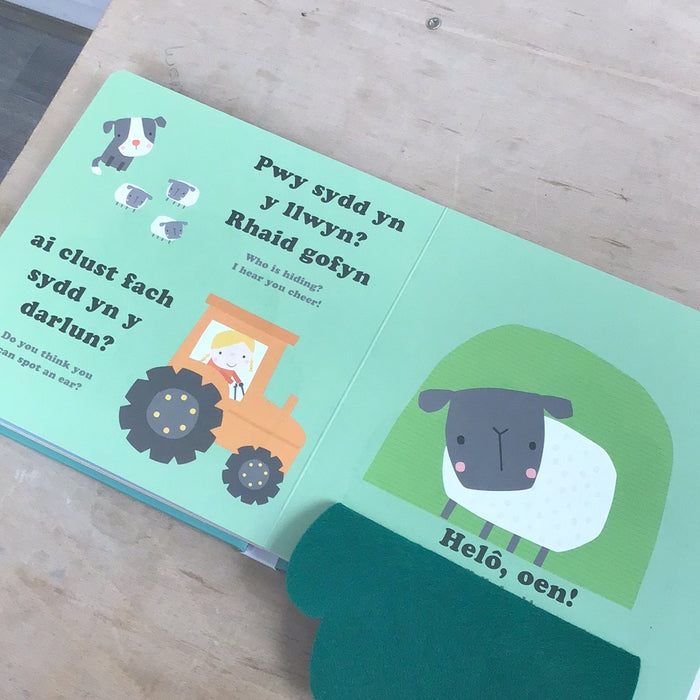 Chwarae a Chwilio: Ar y Fferm / Hide and Seek: On the Farm