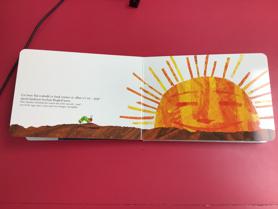 Lindysyn Llwglyd Iawn, Y / Very Hungry Caterpillar, The