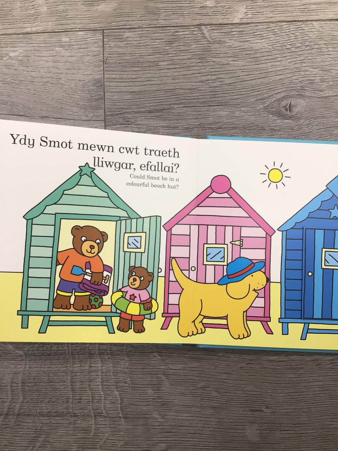 Chwilia am Smot ar y Traeth / Find Smot at the Beach: Find Smot at the Beach