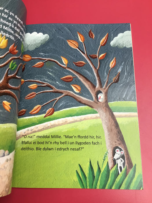 Hud a Lledrith Millie *