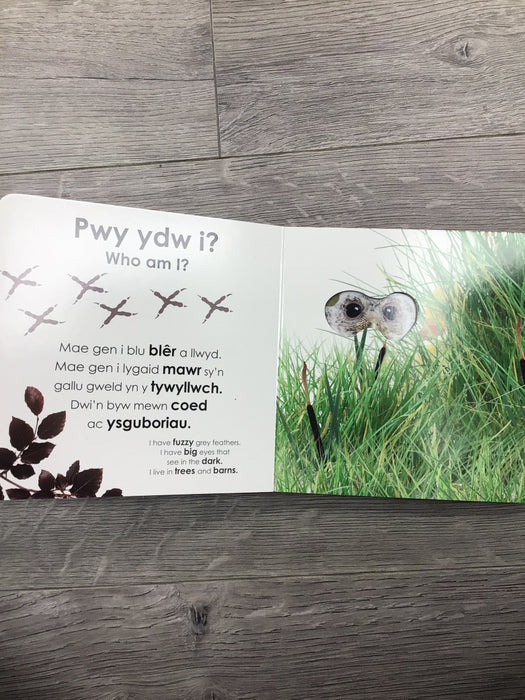 Pwy Ydw i? Anifeiliaid Bach / Who Am I? Baby Animals