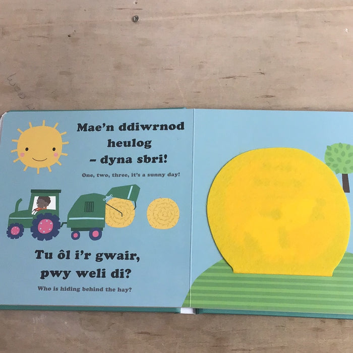Chwarae a Chwilio: Ar y Fferm / Hide and Seek: On the Farm