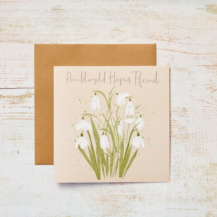 Birthday card &