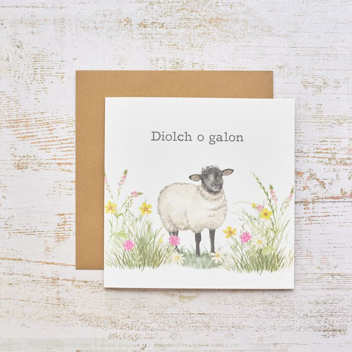 Thank you card &